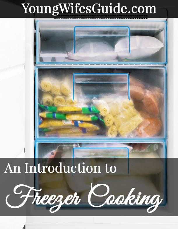 An introduction to freezer cooking