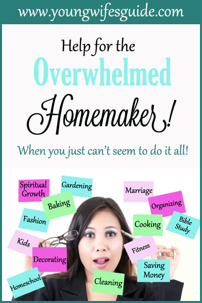 Being a homemaker is a tough job. We daily wear 50 different hats and must work really hard to glorify God in our homemaking. It can be so difficult yet it's also the most important role in our life. We are wives and mothers and God has given us this special responsibility. Are you taking time to grow as a homemaker?