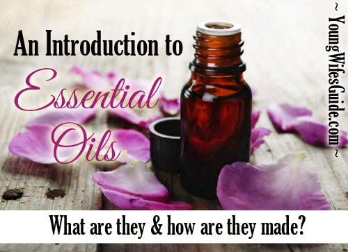 An introduction to essential oils - what are they and how are they made?
