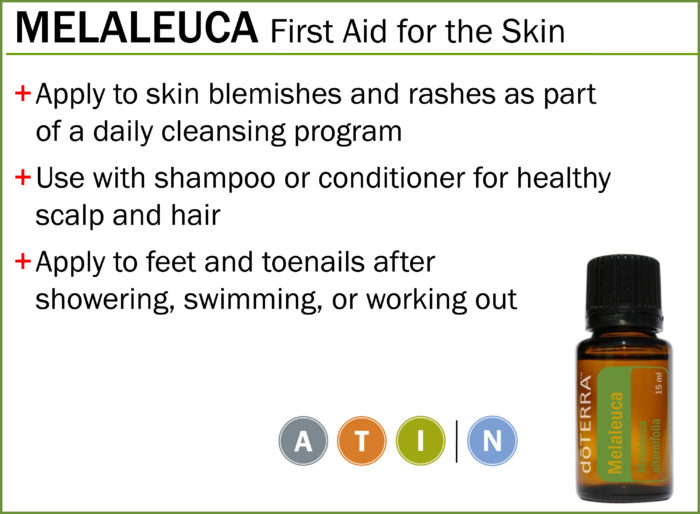 Melaleuca essential oil