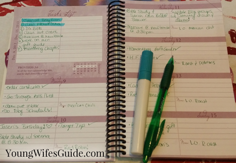 A peek into my week with my Daily Planner