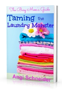 taming-the-laundry-monster-200x300