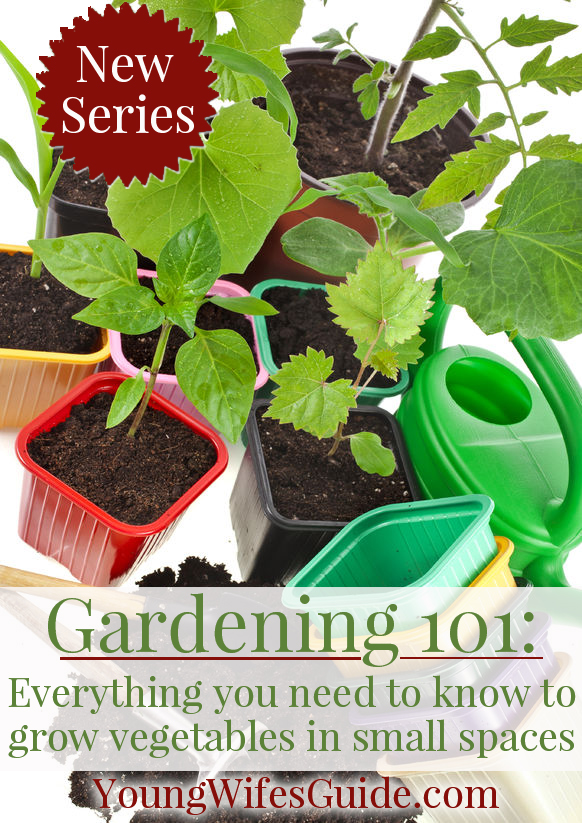 Gardening 101 ~ New Series