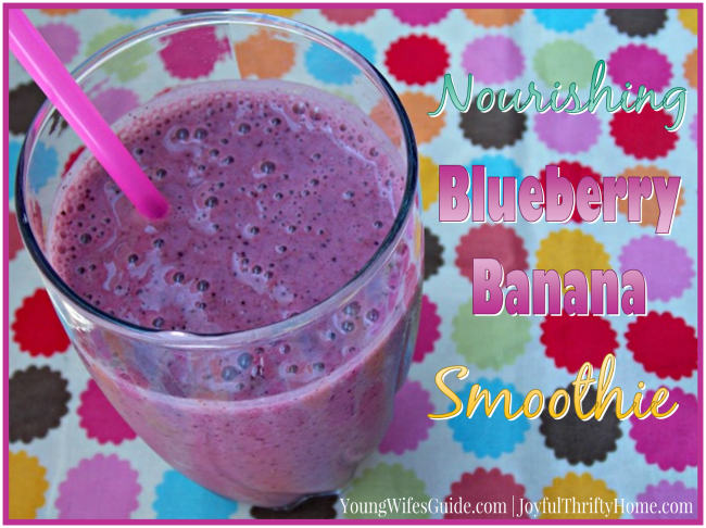 Nourishing Blueberry Banana Smoothie - Young Wifes Guide