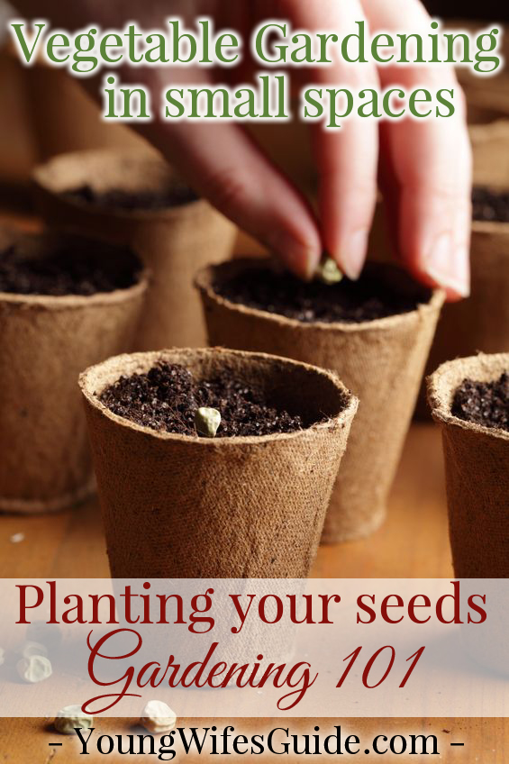 A mini guide to getting your container garden started!! Planting seeds 101