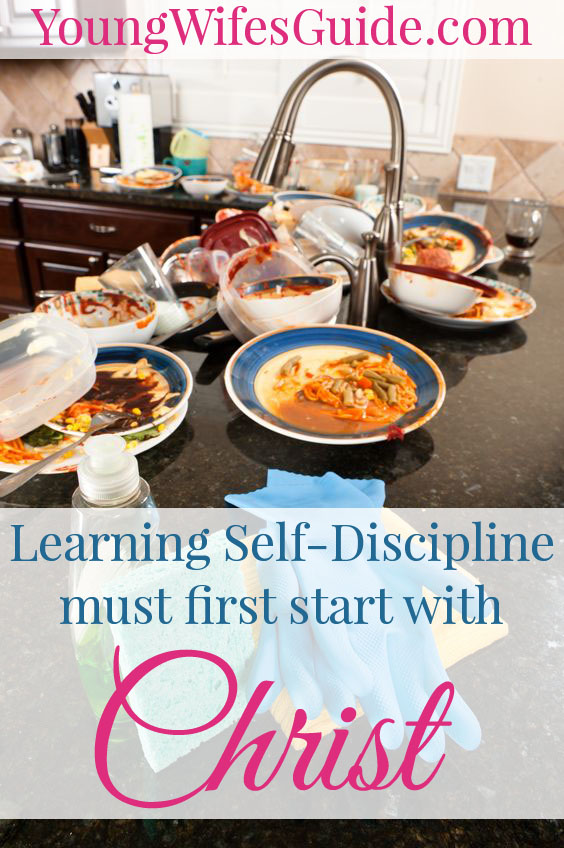 Discipline is perhaps my greatest struggle when it comes to being an efficient homemaker and Christ-follower. I deeply lack self-discipline and it comes back to bite me again and again. The largest lesson I've had to learn in my life, is how to be self-disciplined so I can effectively and efficiently run my household.