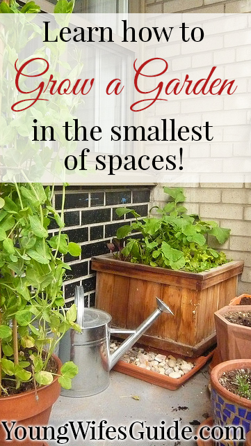 Learn how to grow a garden in the smallest of spaces!