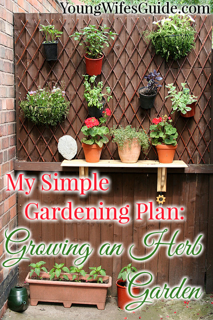 My Simple Gardening Plan