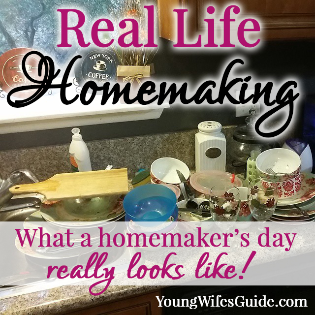 What a Homemaker's Day REALLY looks like!