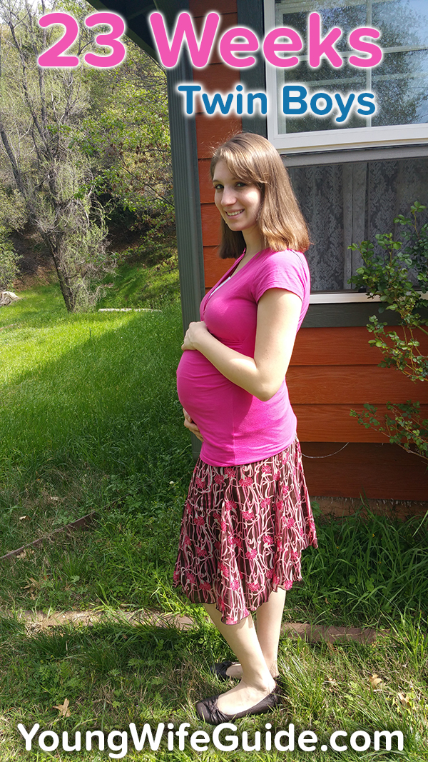 23 Weeks pregnant with twin boys (round #2)