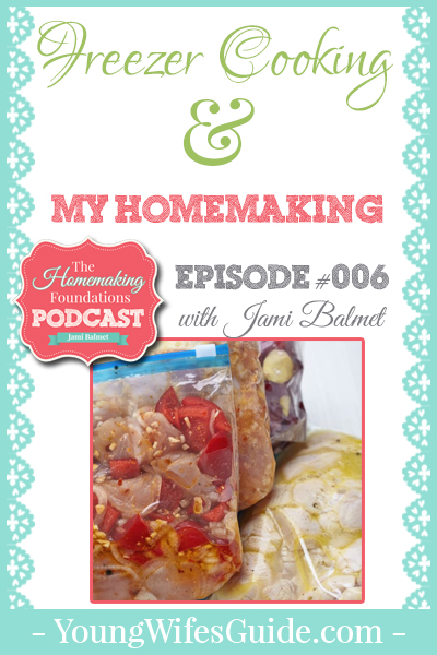 HF #6 - Freezer Cooking and My Homemaking - Pinterest
