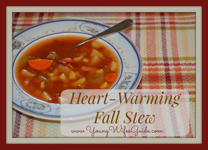 Heart Warming Fall Stew