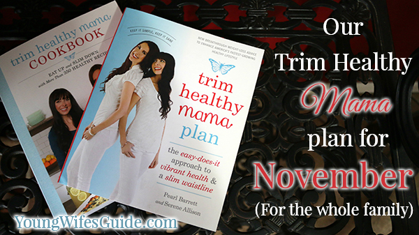 Our THM Plan for November