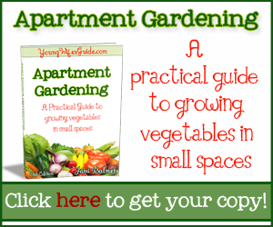 Apartment Gardening eBook - grow vegetables in small spaces